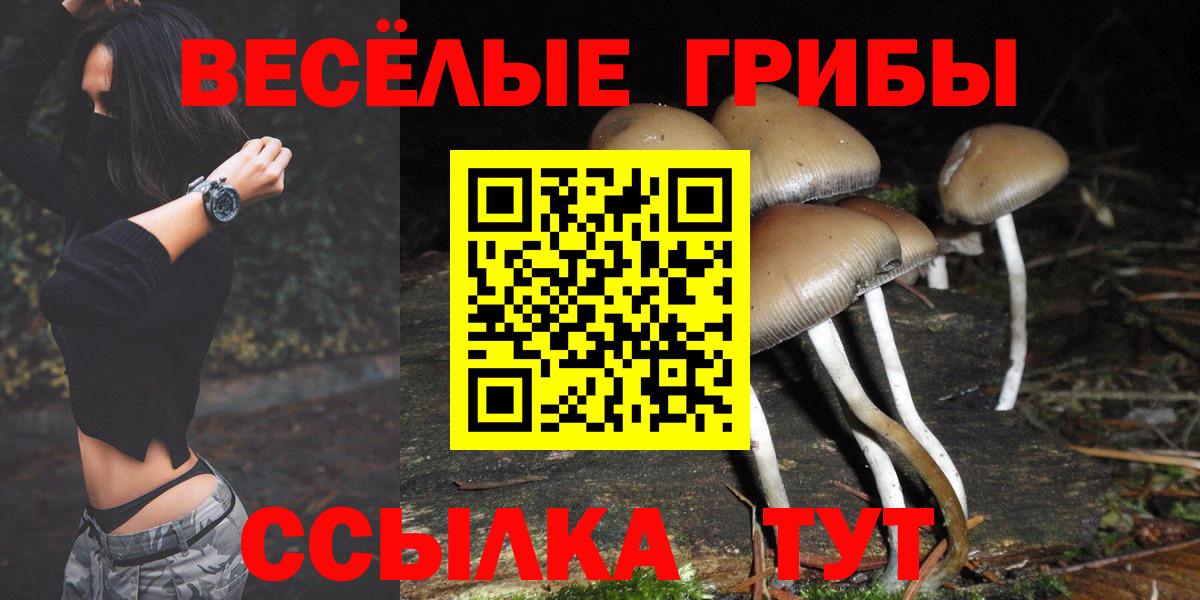 Галлюциногенные грибы Magic Shrooms Кыштым
